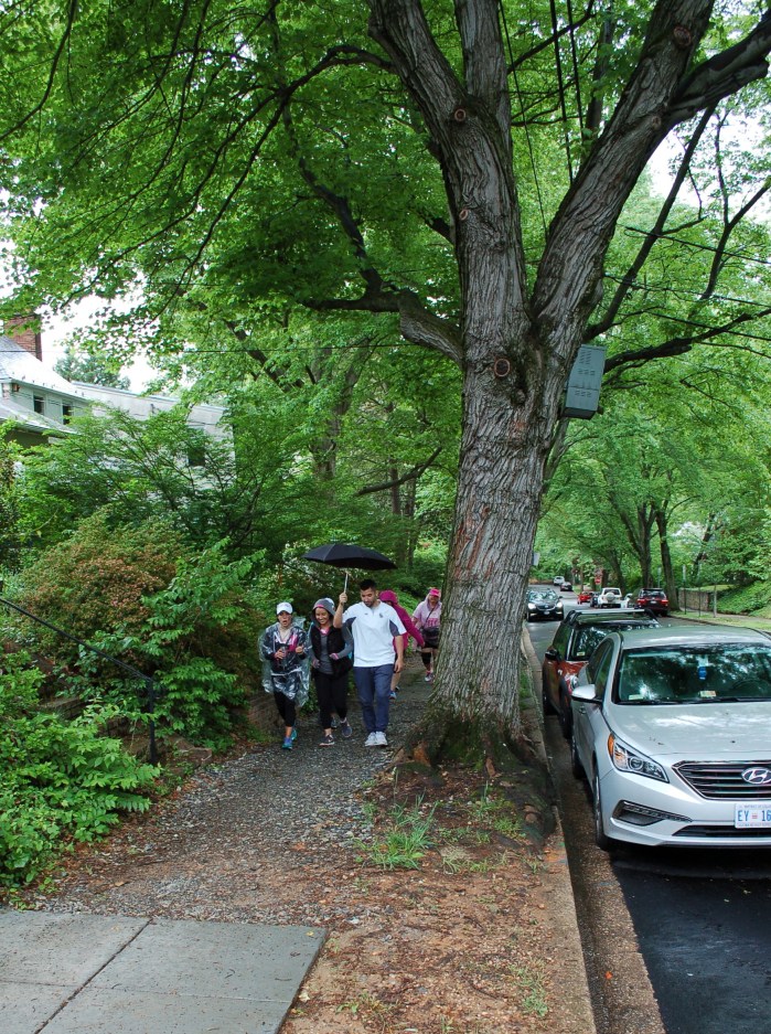 Avon 39 Strid P st 5-7-17 DSC_0750