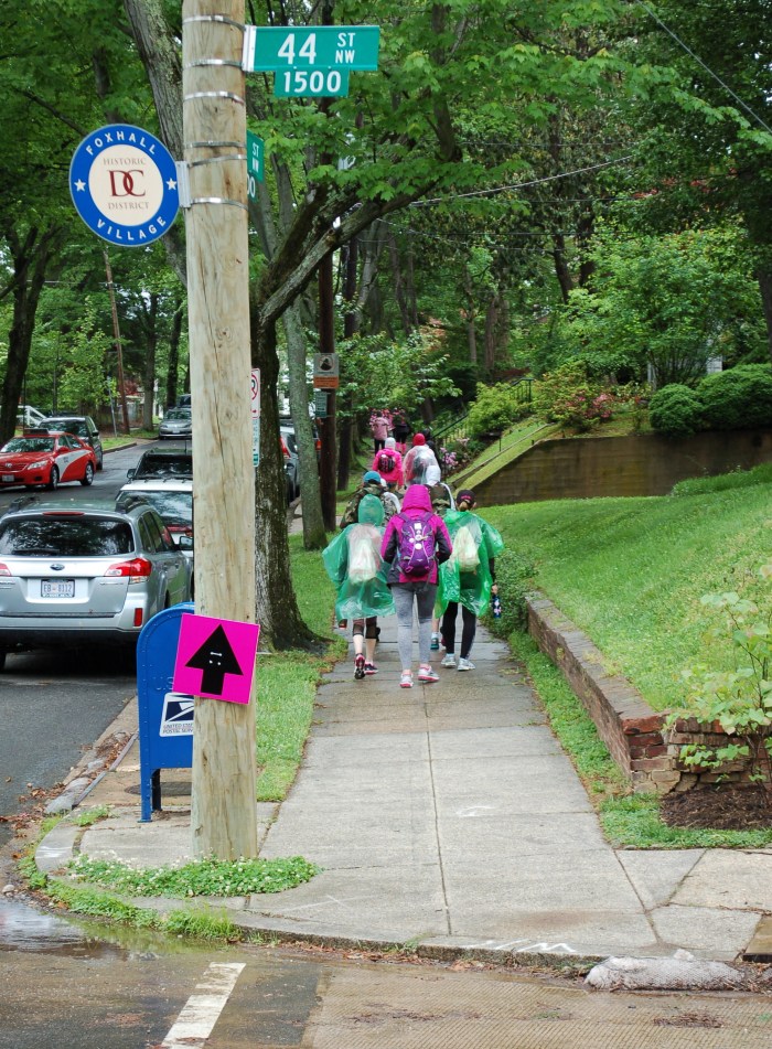 Avon 39 Walk P St 5-6-17 back DSC_0755