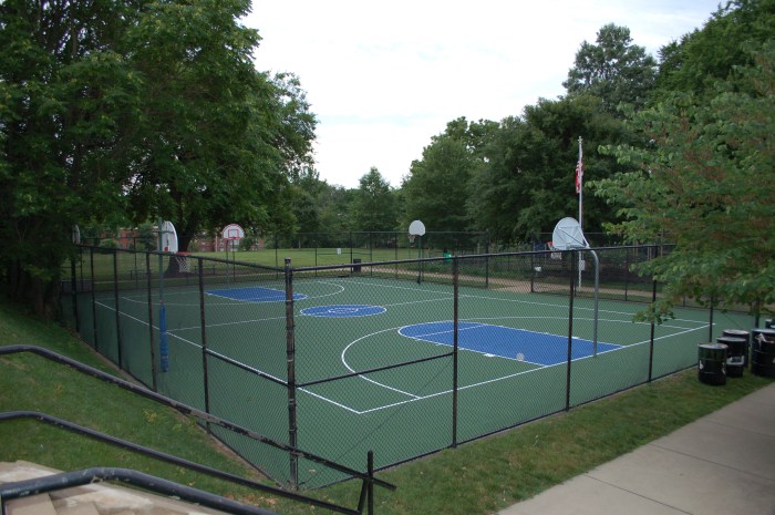 hardy Park B-Ball Courts 6-21-17 DSC_0906
