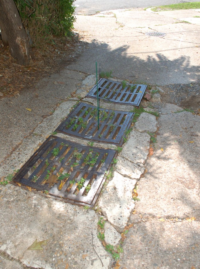 Full sewer with stick DSC_1383