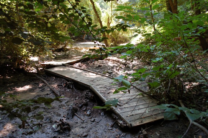 Glover Archbold Walkway Washout 8-22-17 DSC_1396