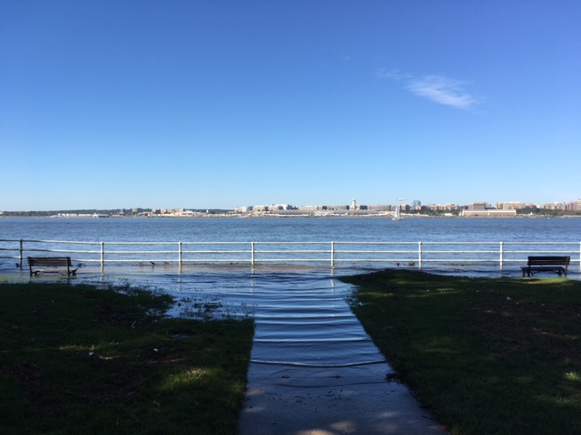 Potomac Haines Point High Water Airport IMG_1613