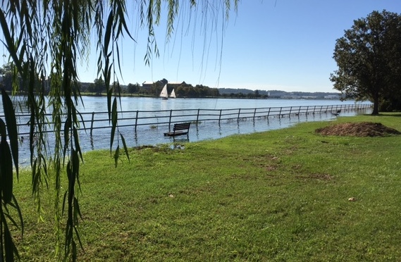 Potomac Haines Point High Water IMG_1598