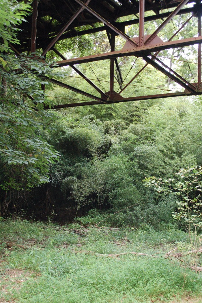 Trolley Trestle Bamboo 9-14-17 DSC_1381