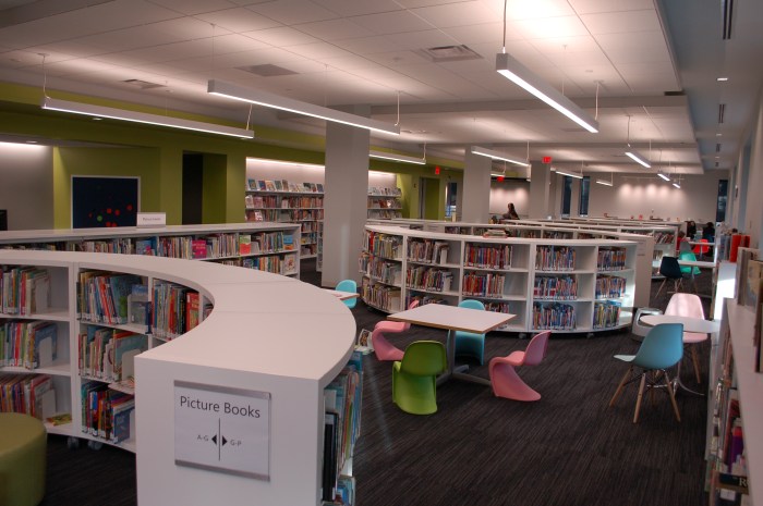 Palisades Library Children's Room 1-20-18 DSC_1529