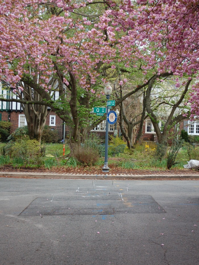 Q Circle April 2018 DSC_1877