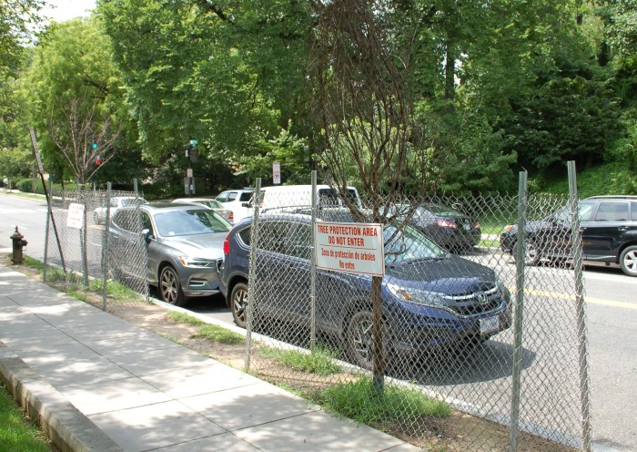 Dead Tree Fence Reservoir zone 6-25-18 DSC_1700