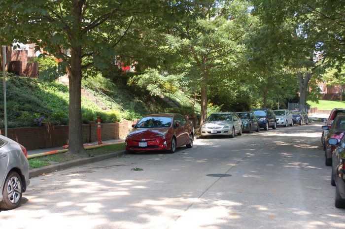 Foxhall water rehab street tree view 6-30-18 DSC_1704