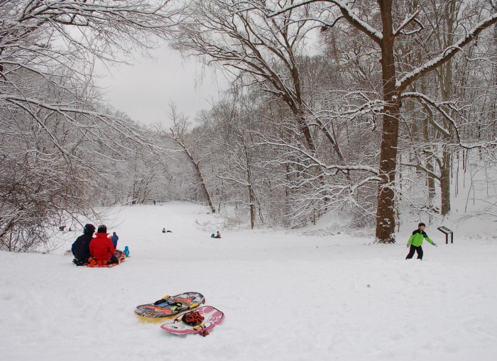 snowy day glover archbold jan 13 2019 dsc_0200