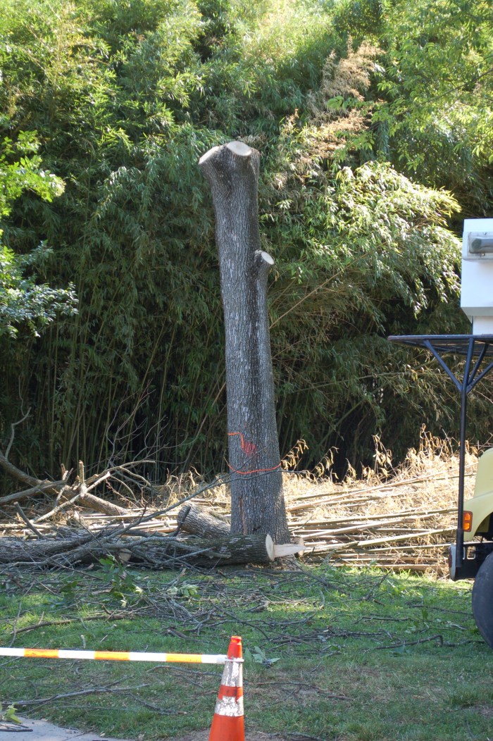 Ash To Dust DSC_0072